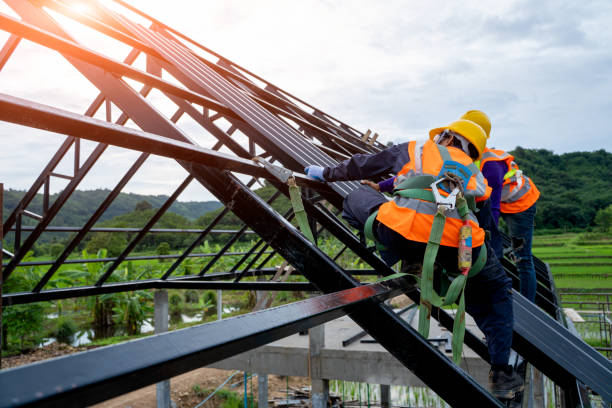 Best Flat Roof Repair Services  in Royalton, IL