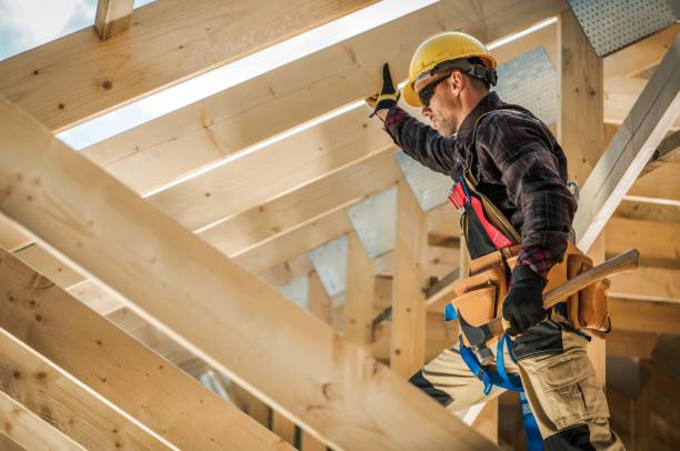 Best Roof Gutter Cleaning  in Royalton, IL