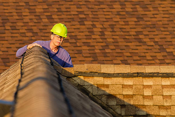 Best Storm Damage Roof Repair  in Royalton, IL