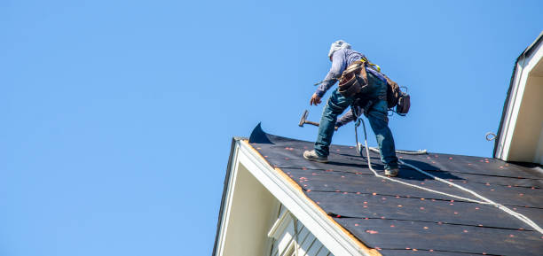 Best Storm Damage Roof Repair  in Royalton, IL